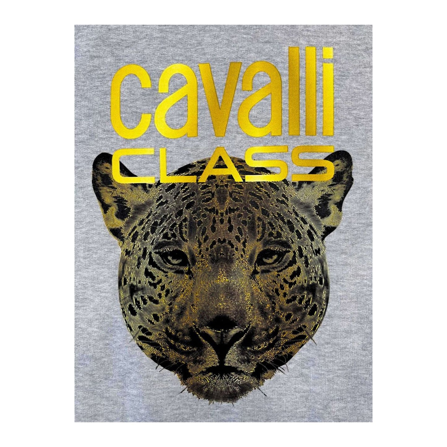 Cavalli Class