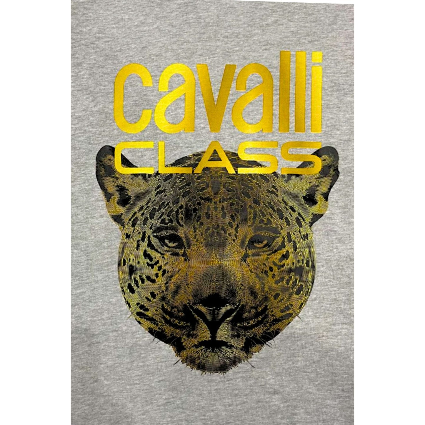 Cavalli Class